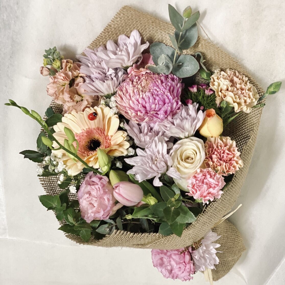 Mini Blush - Image 3