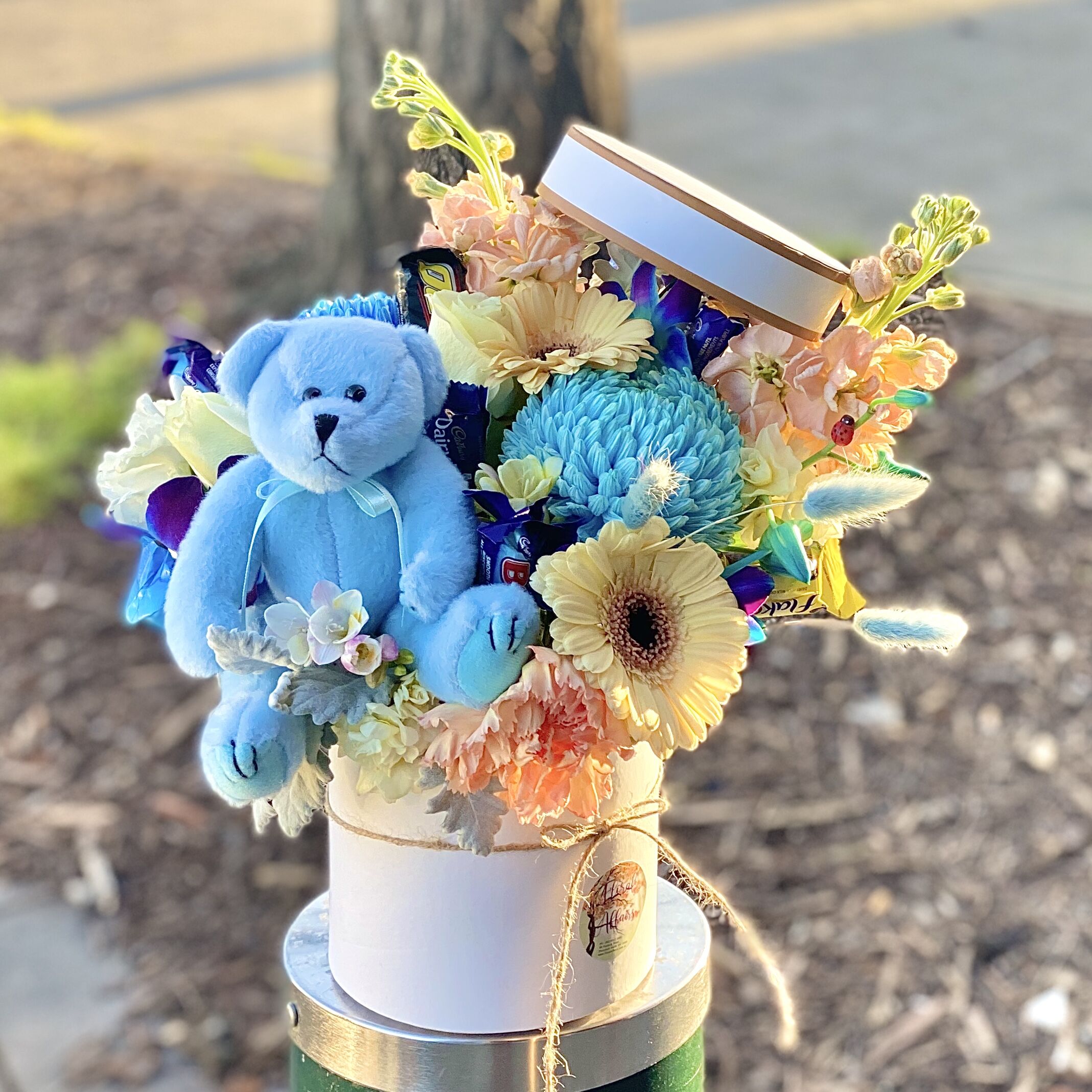 Pandora’s Babies Hat Box - Image 3