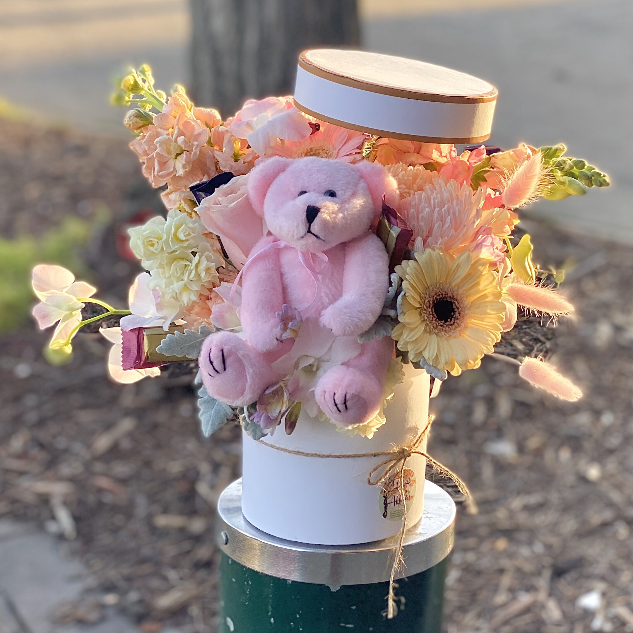 Pandora’s Babies Hat Box - Image 2